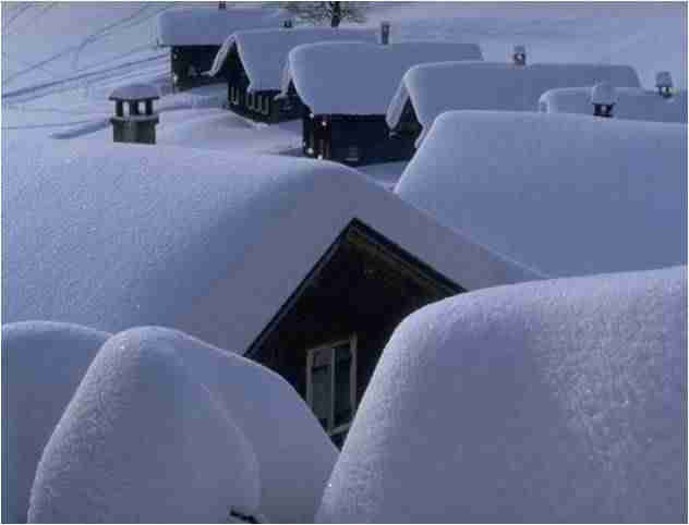 宁夏体育职业学院校花金书珩